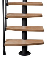 Raumspartreppe ATRIUM Mini Plus, 259 - 350cm (13 Stufen), Silbergrau, Erle